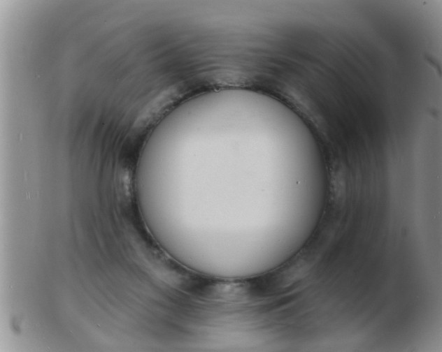 X0000103300117200809122038