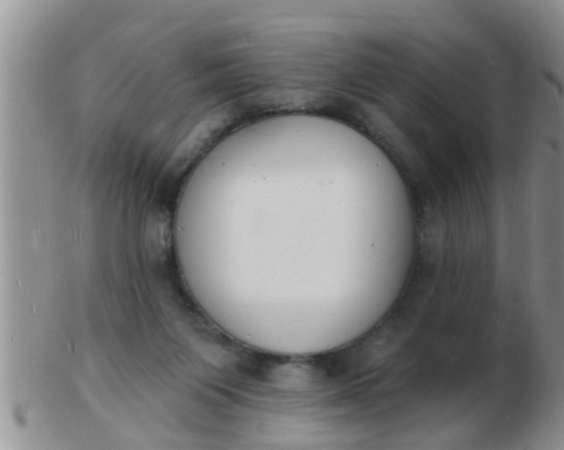 X0000103300119200809122038