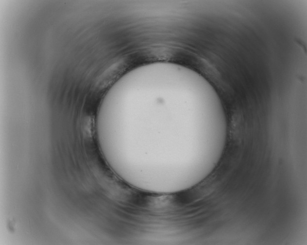 X0000103300122200809122038