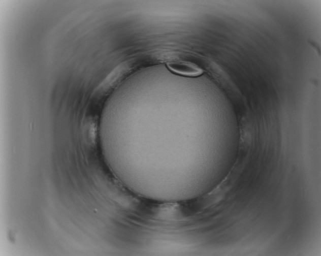 X0000103300124200809122038