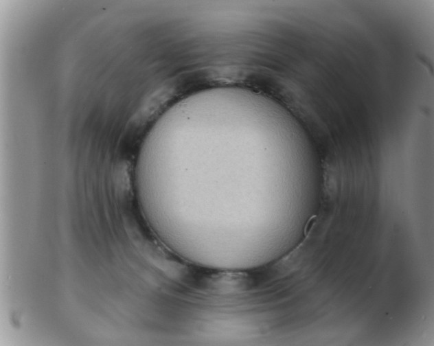 X0000103300128200809122038