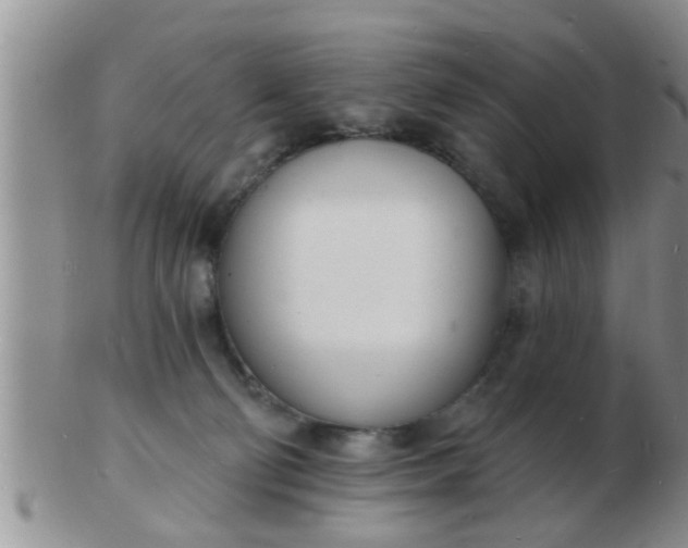 X0000103300130200809122038