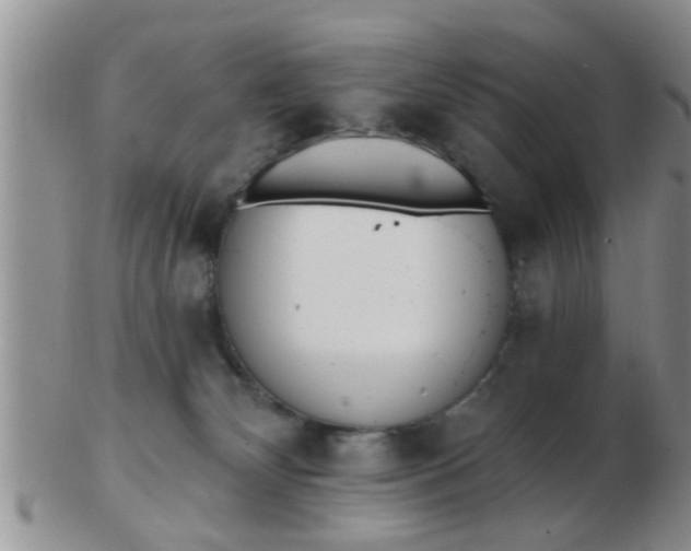 X0000103300132200809122038