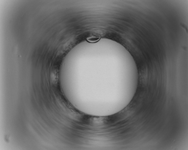 X0000103300134200809122038