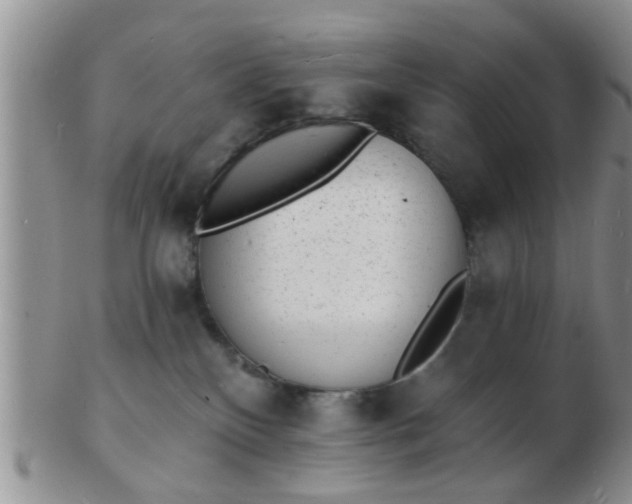 X0000103300136200809122038