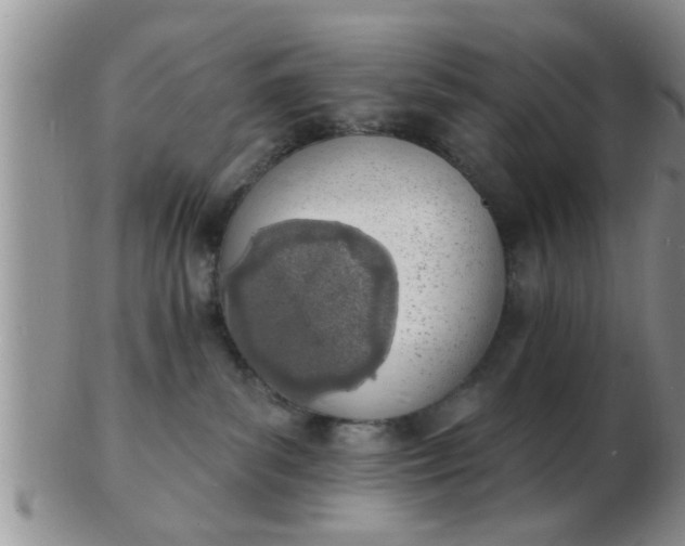 X0000103300139200809122038