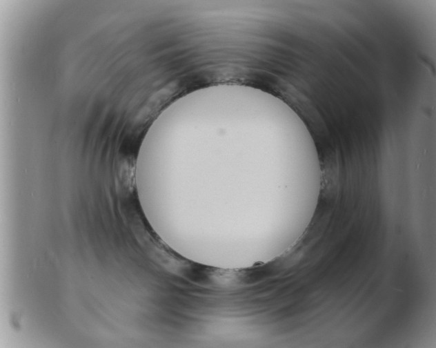 X0000103300142200809122038