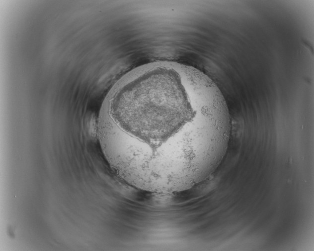 X0000103300143200809122038