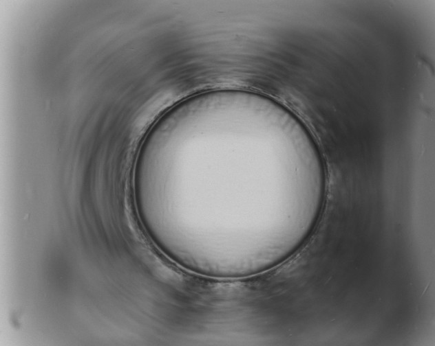 X0000103300145200809122037