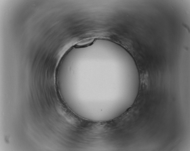 X0000103300148200809122037