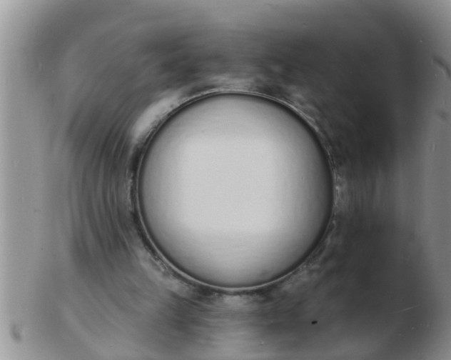 X0000103300149200809122037