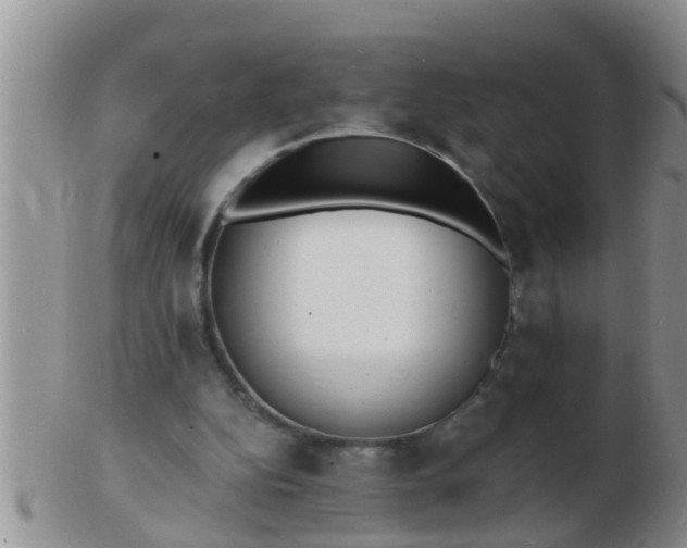 X0000103300152200809122037