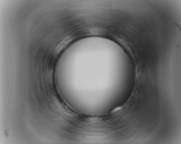 X0000103300154200809122037