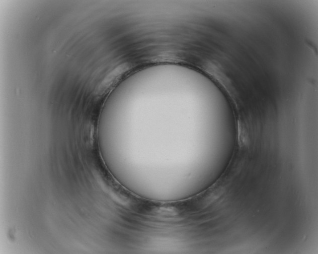 X0000103300157200809122037