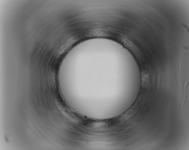 X0000103300158200809122037