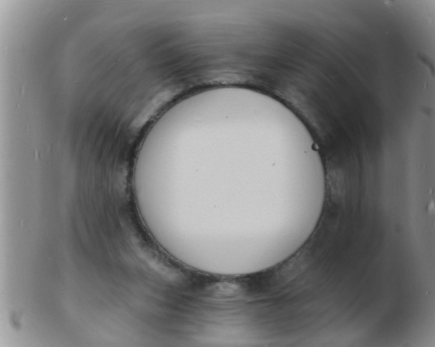 X0000103300159200809122037