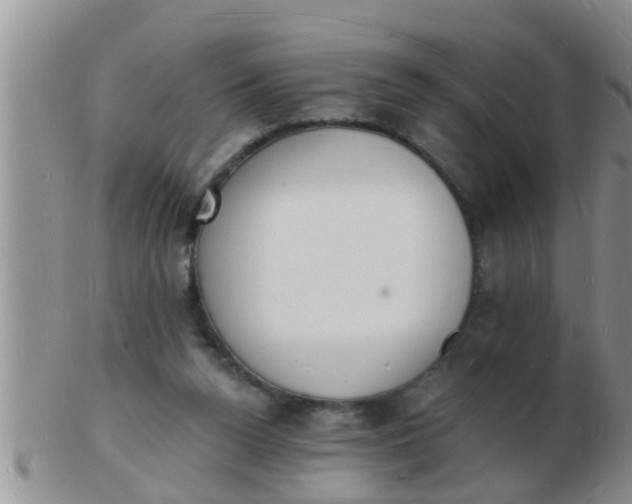 X0000103300160200809122037