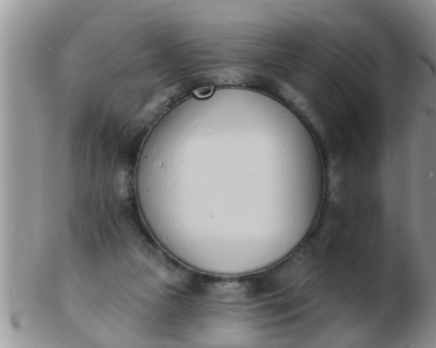 X0000103300161200809122037