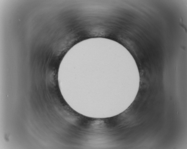 X0000103300162200809122037