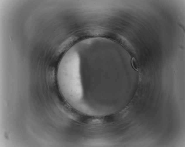 X0000103300163200809122037