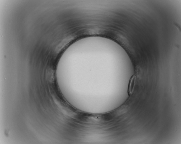 X0000103300164200809122037