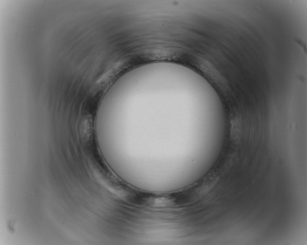 X0000103300165200809122037