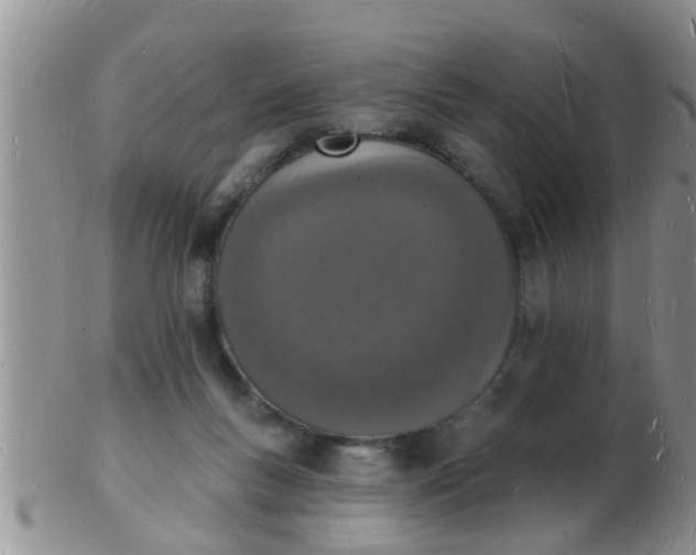 X0000103300167200809122037