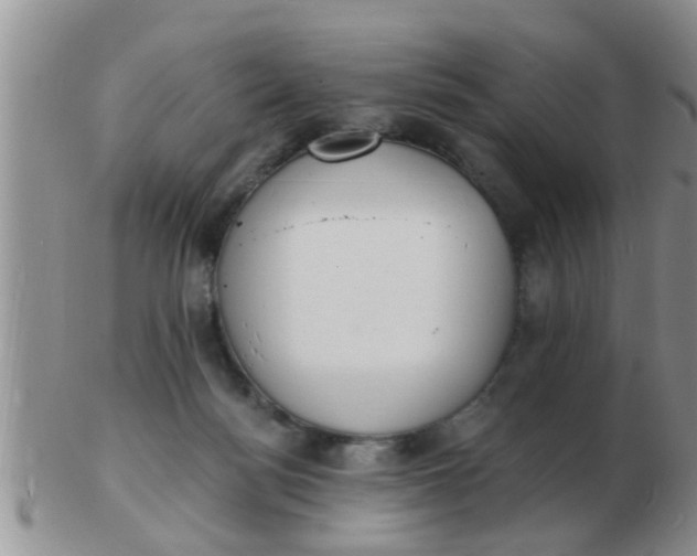 X0000103300172200809122037