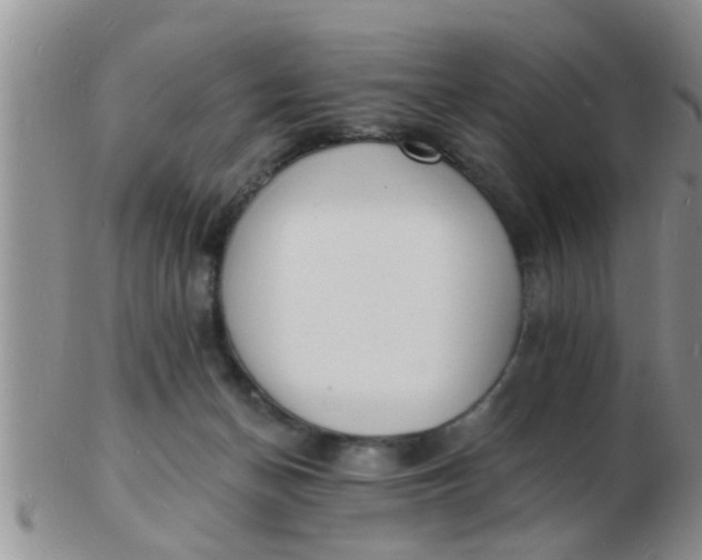 X0000103300174200809122037