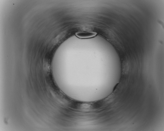 X0000103300176200809122037