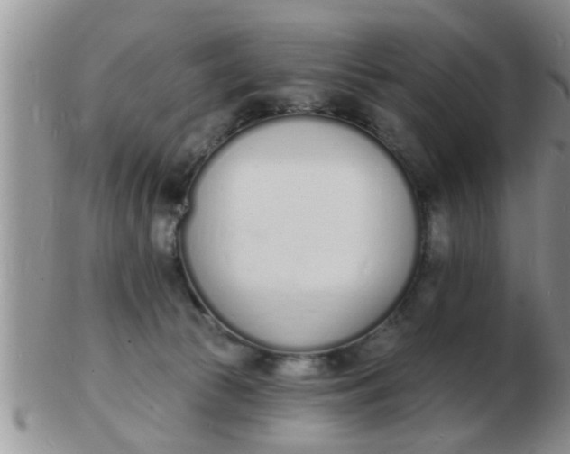 X0000103300177200809122038