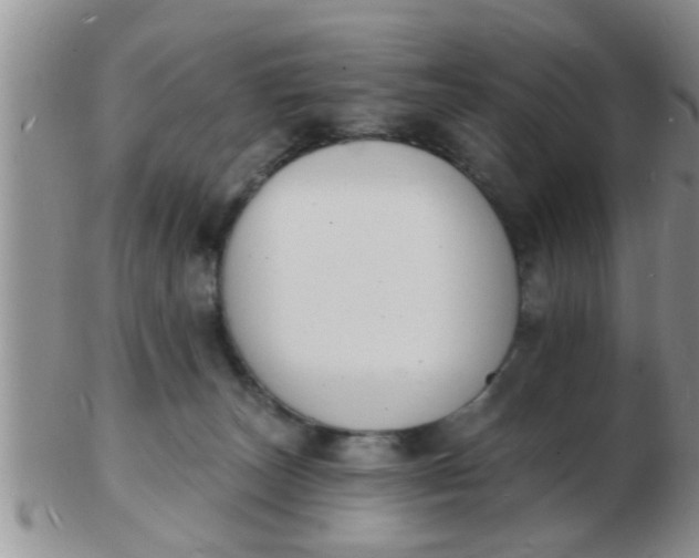 X0000103300179200809122038