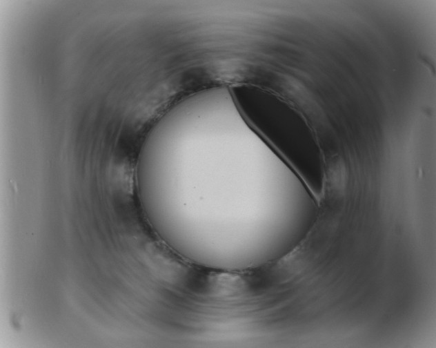 X0000103300180200809122038