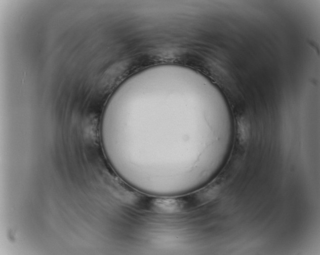 X0000103300181200809122038