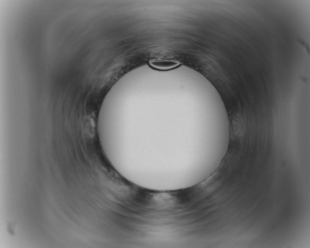 X0000103300183200809122038