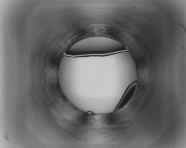 X0000103300184200809122038