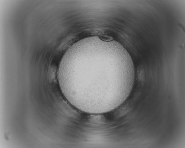 X0000103300185200809122038