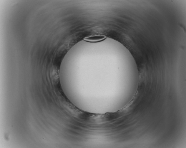 X0000103300186200809122038