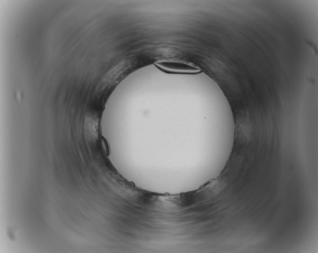 X0000103300188200809122038