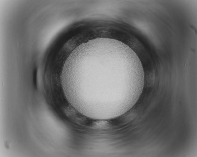 X0000103300189200809122038