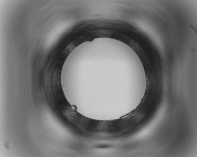 X0000103300190200809122038