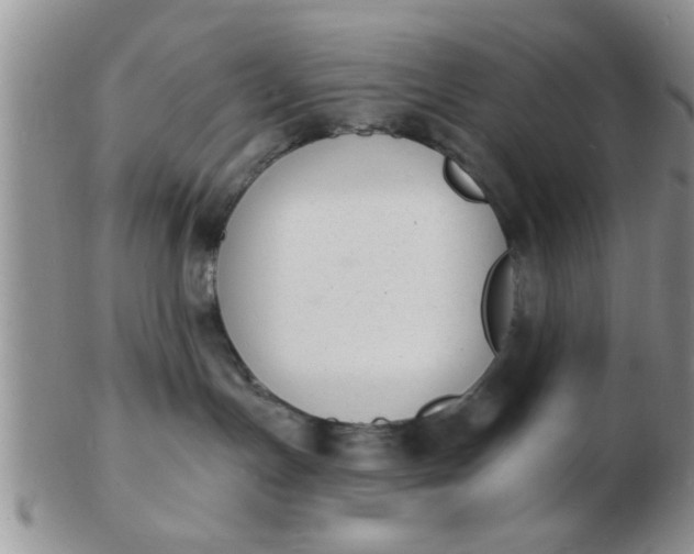 X0000103300191200809122038