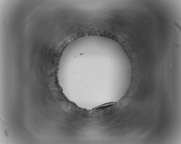 X0000103300192200809122038