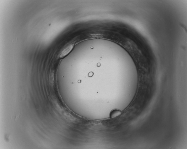 X0000103300194200809122037