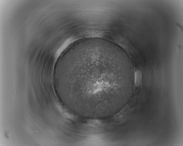 X0000103300195200809122037