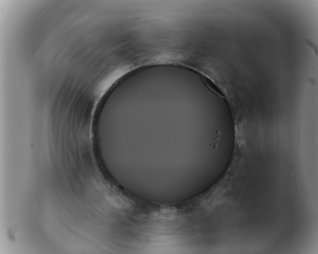 X0000103300196200809122037