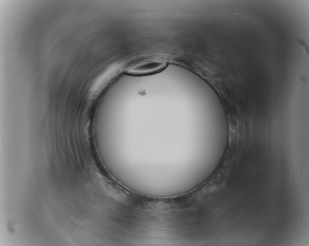 X0000103300197200809122037