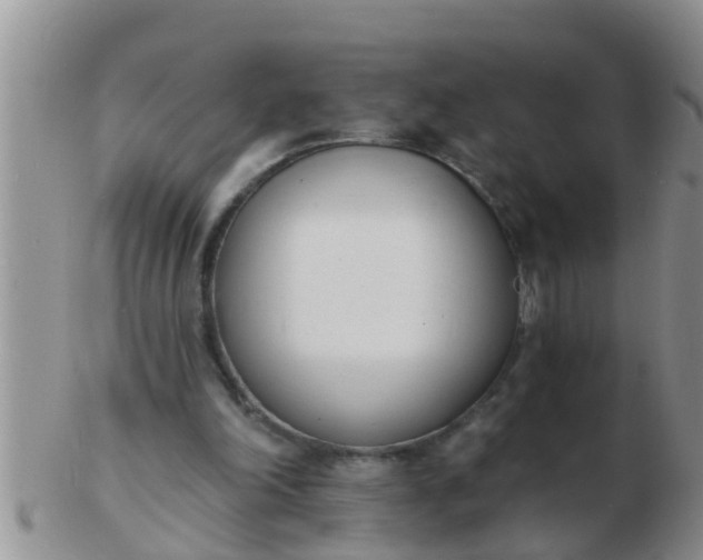 X0000103300198200809122037