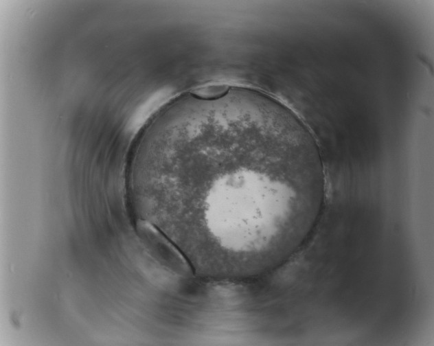 X0000103300199200809122037