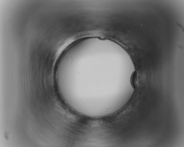 X0000103300200200809122037